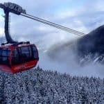 Pleasure and pain: tree skiing at Whistler