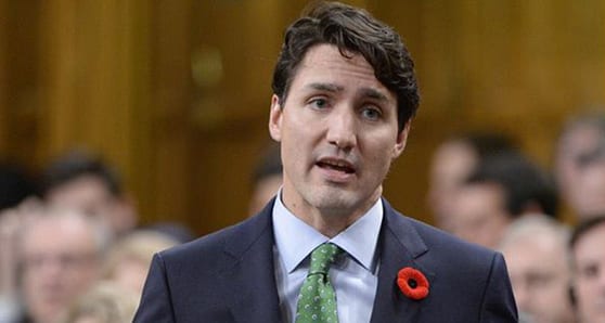 Judge Trudeau on his full dossier, not just a few past incidents