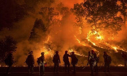 Don’t blame wildfires on climate change