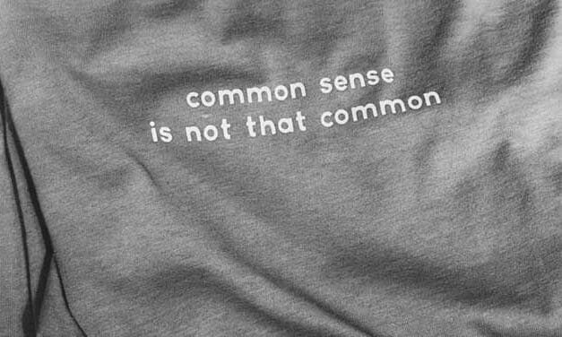 BACKGROUNDER: The rise of the Common Sense Movement
