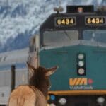 Via Rail should be shut down or sold by the federal government
